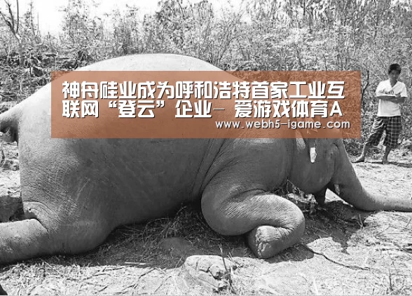 神舟硅业成为呼和浩特首家工业互联网“登云”企业- 爱游戏体育App下载