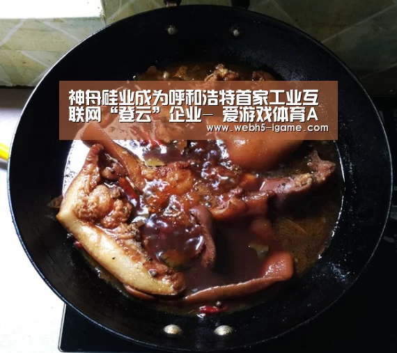 神舟硅业成为呼和浩特首家工业互联网“登云”企业- 爱游戏体育App下载(图4) 爱游戏体育