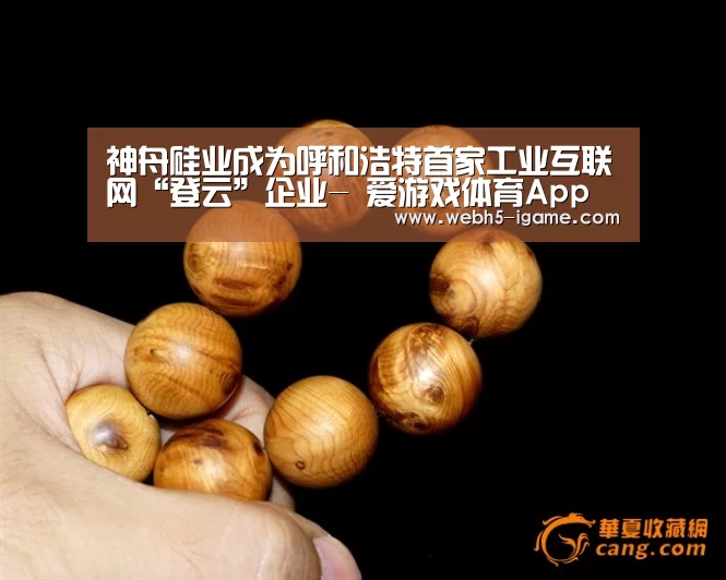 神舟硅业成为呼和浩特首家工业互联网“登云”企业- 爱游戏体育App下载(图3) 爱游戏体育