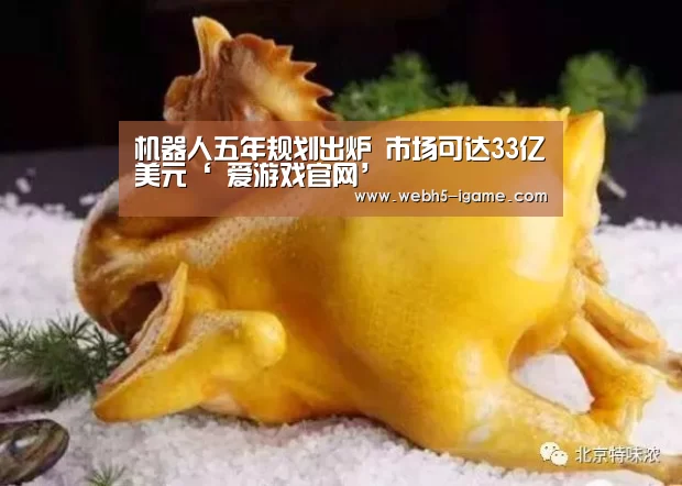 机器人五年规划出炉 市场可达33亿美元‘ 爱游戏官网’(图3) 爱游戏体育App下载