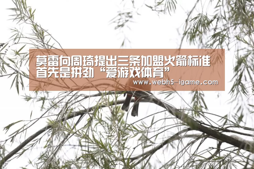 莫雷向周琦提出三条加盟火箭标准 首先是拼劲“爱游戏体育”(图4) 爱游戏体育App下载