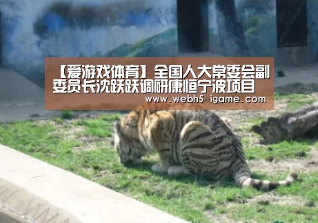 【爱游戏体育】全国人大常委会副委员长沈跃跃调研康恒宁波项目