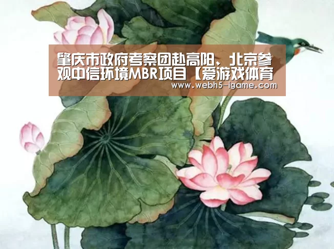 肇庆市政府考察团赴高阳、北京参观中信环境MBR项目【爱游戏体育】
