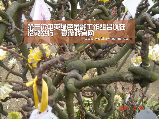 第三次中英绿色金融工作组会议在伦敦举行- 爱游戏官网