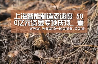 上海智能制造添速度 500亿元资金专项扶持_ 爱游戏体育App下载(图2) 爱游戏体育